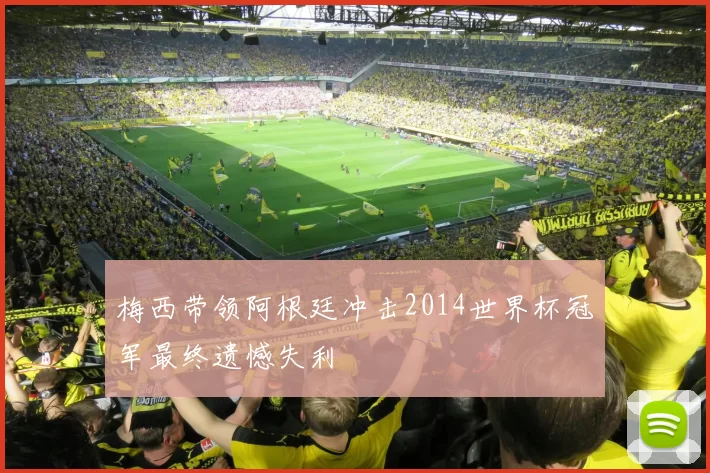 梅西带领阿根廷冲击2014世界杯冠军最终遗憾失利