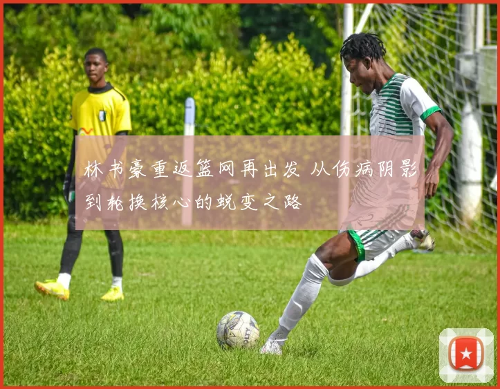 林书豪重返篮网再出发 从伤病阴影到轮换核心的蜕变之路