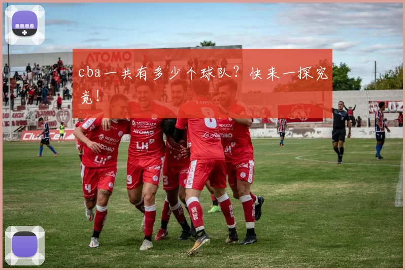 cba一共有多少个球队？快来一探究竟！